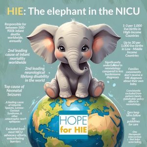Neonatal HIE: The Elephant in the NICU