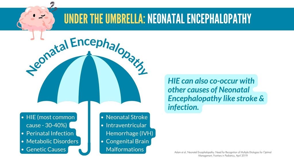 Umbrella graphic describing the different etiologies of Neonatal Encephalopathy by percentage - HIE (hypoxic Ischemic encephalopathy) is the most common cause (30-40%), perinatal infection, metabolic disorders, genetic causes, neonatal stroke, intraventricular hemorrhage (IVH), congenital brain malformations. HIE can also co-occur with other causes of neonatal encephalopathy like stroke and infection.